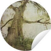 Tuincirkel Een oeroude boom in het Nationaal park Wielkopolska in Polen - 90x90 cm - Ronde Tuinposter - Buiten