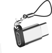 Micro Usb naar Usb C Adapter - Mini Sleutelhanger Adapter - Zilver