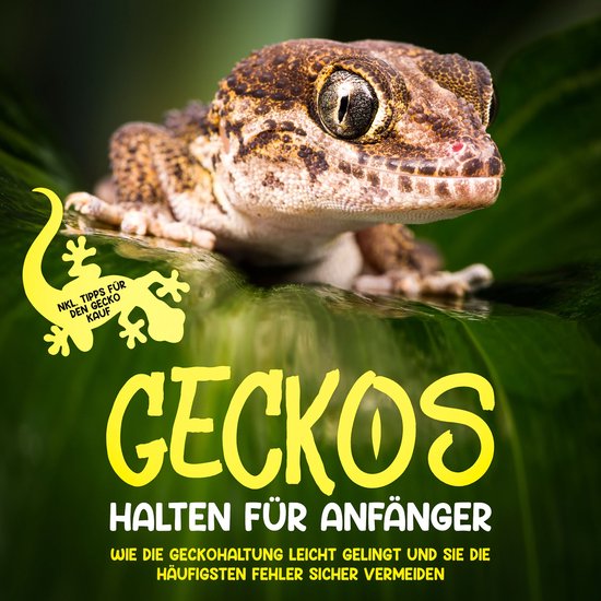 Geckos halten für Anfänger: Wie die Geckohaltung leicht ge ... - cover