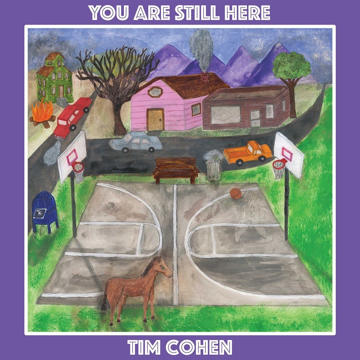 Tim Cohen - You Are Still Here (LP)