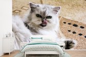 Behang - Fotobehang Perzische kat op een zachte vloer - Breedte 330 cm x hoogte 220 cm