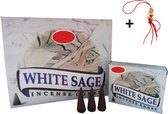 2 Pakjes - Wierook - Wierookkegeltjes - Kegeltjes - Kegels - Incense Cones - Witte Salie - White Sage - 20 Kegeltjes + Gelukspoppetje