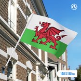 Vlag Wales 100x150cm - Glanspoly