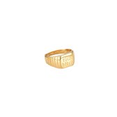 "Rich bitch" Design Ring - Massieve Ring - Maat 17 - 14K Verguld - Dottilove