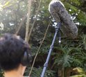 Microfoon met pluizige windkap op een boomstok, gefilterd zonlicht in een bosrijke omgeving.