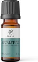 Eucalyptusolie - 10 ml - 100% Puur - Etherische olie van Eucalyptus olie