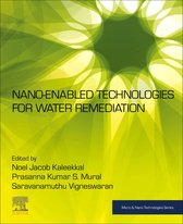 Micro and Nano Technologies - Nano-Enabled Technologies for Water Remediation