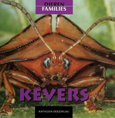 Dierenfamilies  -   Kevers