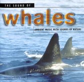 Sound Of Whales