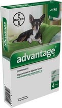 Advantage 40 Hond 4 pip - Anti vlooien en luizenmiddel - 0.4 ml - 1.5-4 Kg