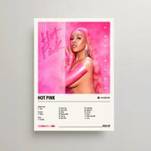 Doja Cat Poster - Hot Pink Album Cover Poster - Doja Cat LP - A3 - Doja Cat Merch - Muziek