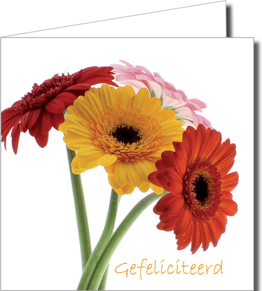 Verjaardagswenskaarten Pakket – 12 Stuks (14,5 x 14,5 cm) met Bloemen, Donuts en Ballonnen Ontwerpen