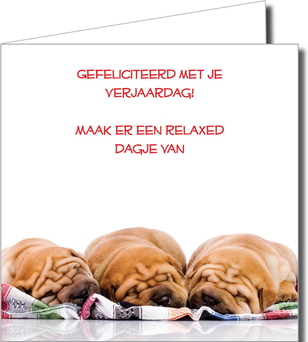 Verjaardagswenskaarten Pakket – 12 Stuks met Grappige Dieren en Vrolijke Teksten (14,5 x 14,5 cm)