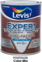 Levis Expert Gevel - Topkwaliteit Buitenmuurverf - Kleur RAL 7023 Betongrijs - 1 L