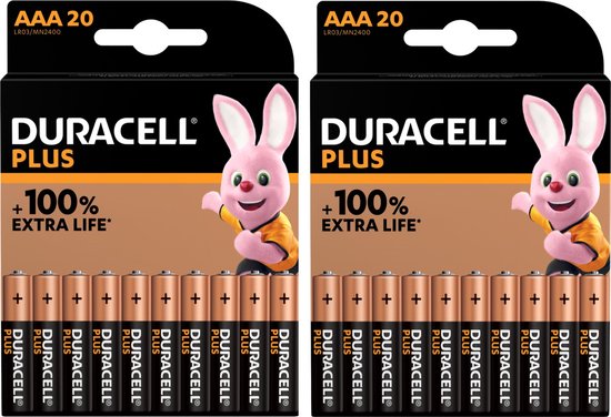 Lot de 2 Piles Alcalines 5 ans AAA 1.5V - Duracell Duralock MN2400