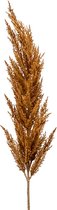 Plantenwinkel Grass Pampas Orange L 115 cm kunsttak per 1 stuks