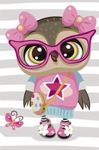 Schilderen op nummer - Fashionable Owl - uil - 20x30 cm - compleet pakket - gespannen op canvas