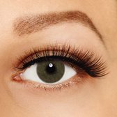 Kleurlenzen - Vegas Hazel Brown - jaarlenzen met lenshouder - Beauty Fashionlens