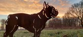 Metalendier - Franse Bulldog - Tuinbeeld - zwart gecoat - 42 x 54 - NL Fabrikaat