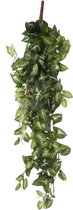 Mica Decorations Fittonia Kunst Hangplant in Pot - L15 x B30 x H80 cm - Groen
