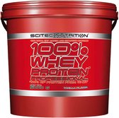 Scitec Nutrition - 100% Whey Protein Professional (Vanilla - 5000 gram)