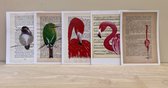 B-creativ - set van 10 postkaarten - vogels - boekenliefhebber - excl envelop