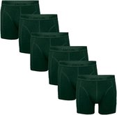 Zaccini 6-pack deep dark green tone in tone