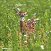 Tierbabys 2022 30x30