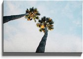 Walljar - Onderaanzicht Palmbomen III - Muurdecoratie - Canvas schilderij