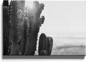 Walljar - Close-up Cactus - Muurdecoratie - Canvas schilderij