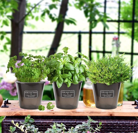 Pot à herbes réservoir d'eau herbes fraîches pot avec système d'arrosage  pour rebord... | bol.com