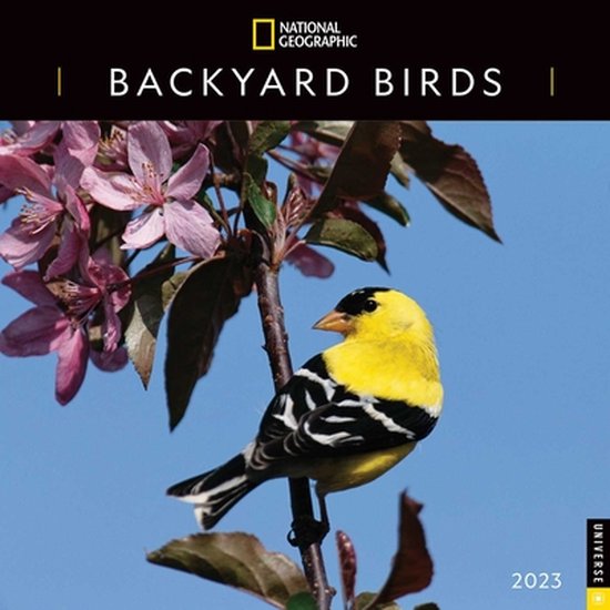 National Geographic Backyard Birds 2023 Wall Calendar, National