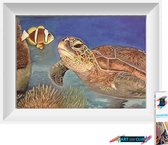 Artstudioclub®  Diamond painting volwassenen volledige bedekking  30x25cm Schildpad