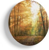 Artaza Houten Muurcirkel - Herfstbos Met Zonneschijn - Ø 75 cm - Multiplex Wandcirkel - Rond Schilderij