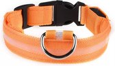 Honden Halsband Led Lichtgevende Hondenhalsband verlichting - Maat M - Oranje - Veiligheid - Pets World®