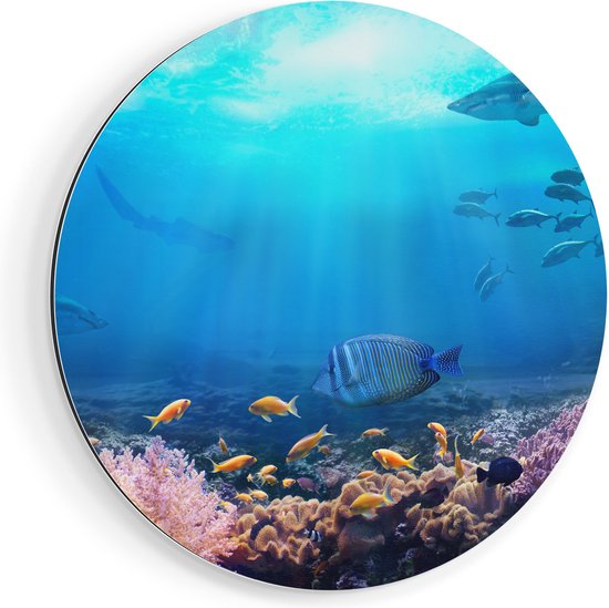 Cercle Mural Artaza Dibond - Pêche avec Requins dans l'Océan avec Récif de Corail - Ø 70 cm - Cercle Mural - Tableau Rond - Pour Intérieur et Extérieur