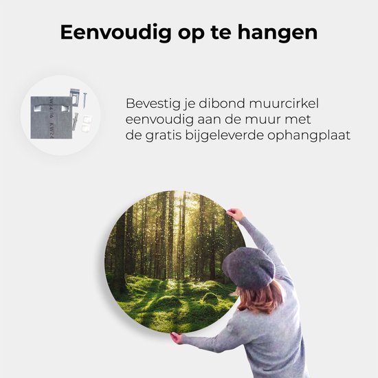 Cercle Mural Artaza Dibond - Forêt avec Mousse Verte au Terre - Ø 80 cm - Groot - Cercle Mural - Tableau Rond - Pour Intérieur et Extérieur