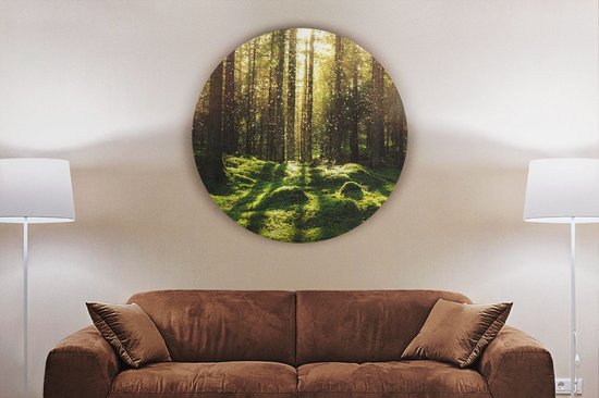 Cercle Mural Artaza Dibond - Forêt avec Mousse Verte au Terre - Ø 80 cm - Groot - Cercle Mural - Tableau Rond - Pour Intérieur et Extérieur