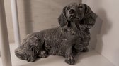 langharige teckel 35cm beton  grijs beeld decoratie tekkel hond