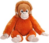 Wild Republic Knuffelorang-oetang Junior 30 Cm Pluche Oranje