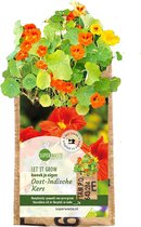 Superwaste-hangtuintje-Oost Indische kers-eetbare bloemen-salade-verse bloemen-kweektuintje-kweekset-moederdag-vaderdag-verjaardag-voorjaar-tuin-kids-pasen-valentijn-inclusief-ecos