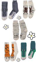 Nature Planet te gekke kindersokken sokken, set van 5, mooie kwaliteit (100% Oeko-tex gecertifiiceerd), maat 23-28