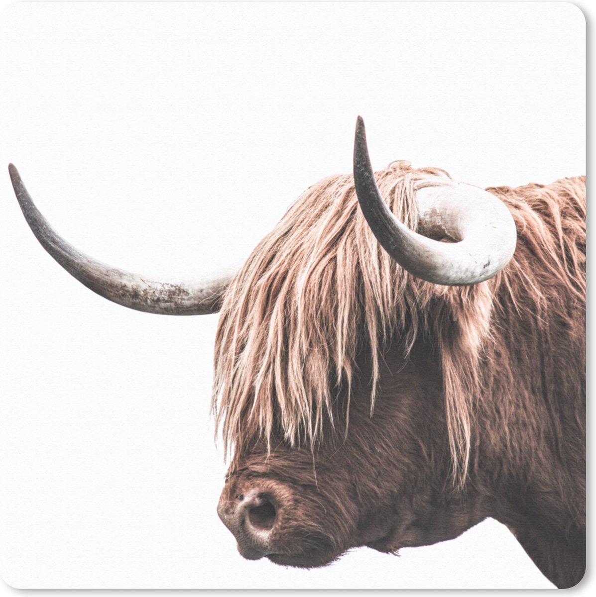 Muismat 20x20 cm - Mousepad Schotse Hooglander - Hoorns - Muismatten