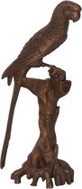 Beeldje - brons - papegaai - 18,3cm hoog