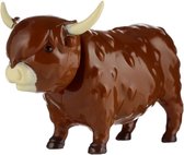 Hooglander koe Highland cow coo. Beweegt op kunstlicht en zonlicht