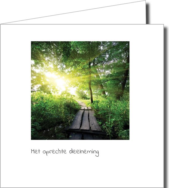Condoleance Wenskaarten Pakket – 10 Stuks met Fotografische Afbeeldingen van Natuur en Rust (14,5 x 14,5 cm)