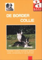 Over Dieren 070 -   De Border Collie