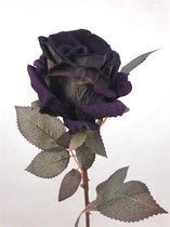 2 x Violet Rose75*10cm