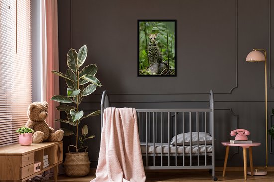 Cadre photo avec affiche - Ocelot du Costa Rica - 40x60 cm - Cadre pour affiche