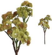 PTMD Succulent Plant Vetkruid Kunsttak - 23 x 16 x 38 cm - Geel/Groen